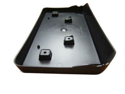 Mopar 68277137AA License Bracket, Front