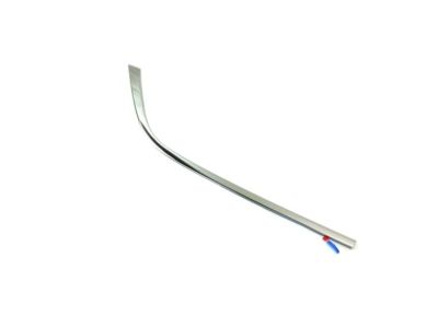 Chrysler 57010409AG MOLDING Day Light Opening Rear Door