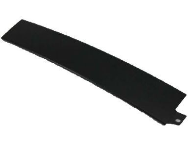 Dodge 4806304AB APPLIQUE Front Door