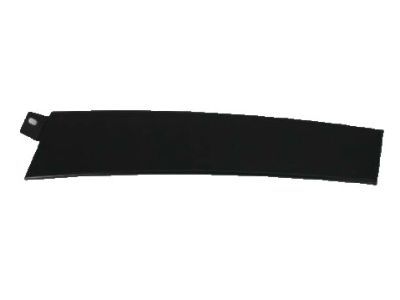 Dodge 4806304AB APPLIQUE Front Door