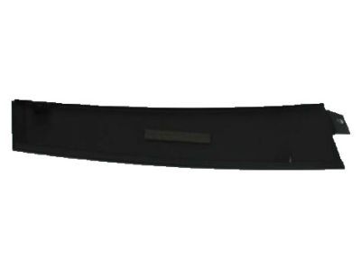 Dodge 4806304AB APPLIQUE Front Door