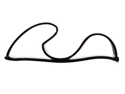 Mopar 5074512AB Weatherstrip Front Door Mounted