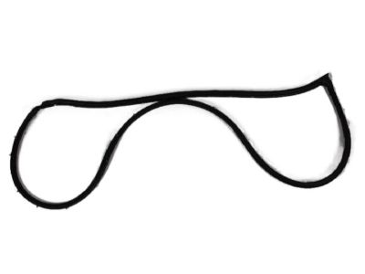 Mopar 5074512AB Weatherstrip Front Door Mounted