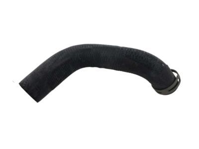 Mopar 55038144AA Upper Hose