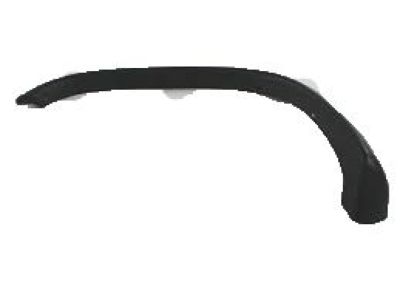 Dodge 5GG07TZZAB MOLDING Wheel Opening Flare