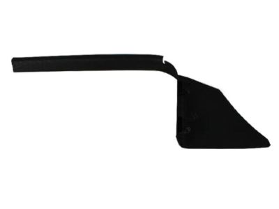 Ram 1DX69DK2AB PANEL Scuff Front