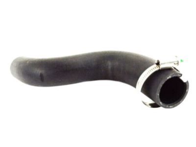 Mopar 68039532AA Filler Hose, Lower