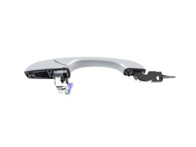 Dodge 1MW30JSCAE HANDLE Exterior Door