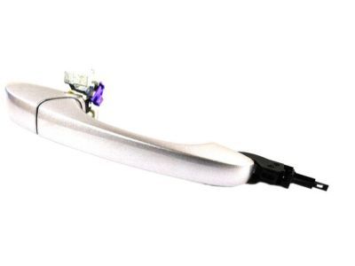 Dodge 1MW30JSCAE HANDLE Exterior Door