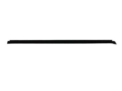 Mopar 55135309AD Seal Front Door Belt