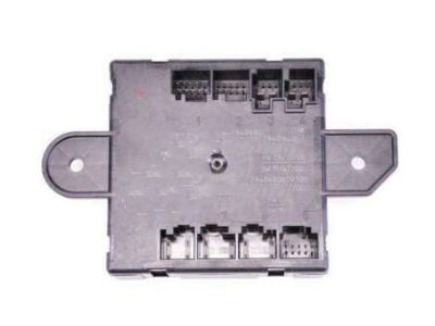 Ram 4602910AG MODULE Door