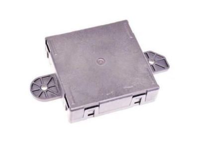 Ram 4602910AG MODULE Door