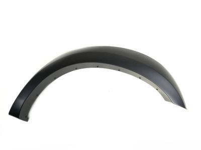 Ram 1KA00RXFAD MOLDING Wheel Opening Flare