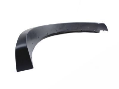 Ram 1KA00RXFAD MOLDING Wheel Opening Flare