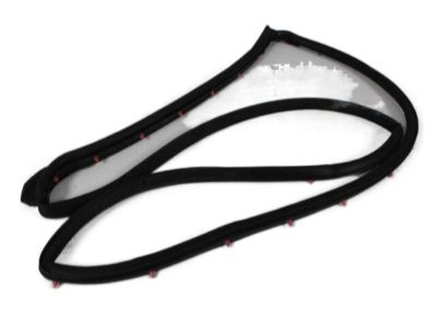 Dodge 5074281AD WEATHERSTRIP Rear Door Mounted