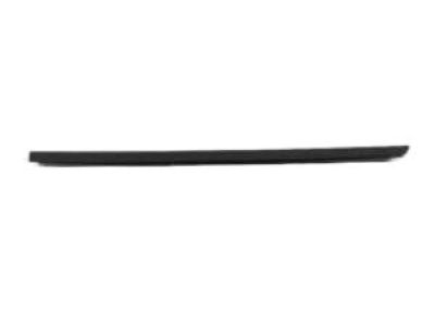Jeep 55395269AD WEATHERSTRIP DOOR BELT OUTER Full Front Door