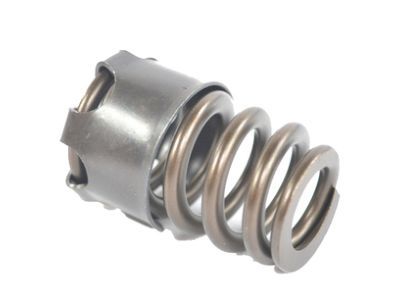 Jeep 53021873AA SPRING Valve