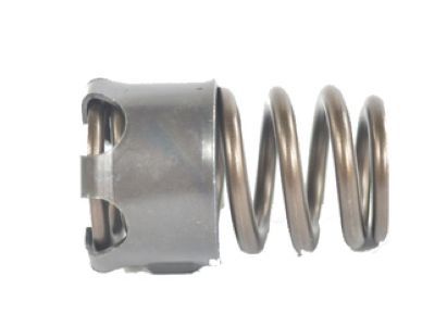 Jeep 53021873AA SPRING Valve