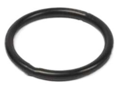 Dodge 68222042AA GASKET EGR Valve