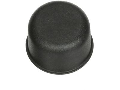 Ram 68213899AA CAP Wiper Arm
