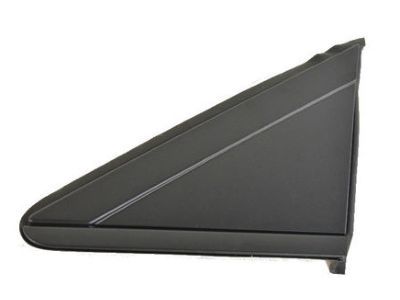 Dodge 1AN69RXFAB APPLIQUE MIRROR FLAG