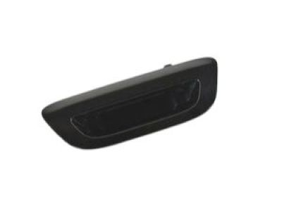 Chrysler Pacifica Tailgate Handle - 5RP06AXRAA
