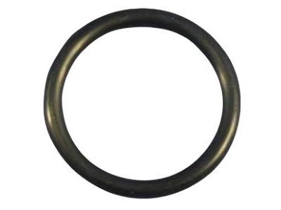 Ram 68049033AA O RING