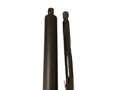 Mopar 68103064AB Motor And Gear Power Liftgate
