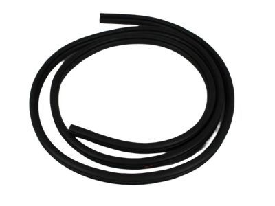 Ram 55369282AB Weatherstrip On Body