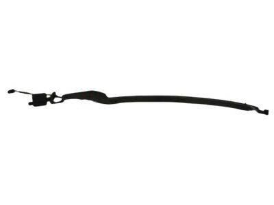 Dodge 4894599AA SENSOR Pinch