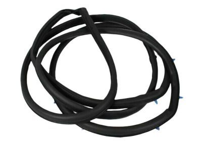 Dodge 4717720AA WEATHERSTRIP Front Door