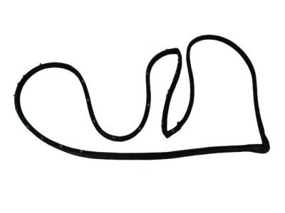 Dodge 4717720AA WEATHERSTRIP Front Door