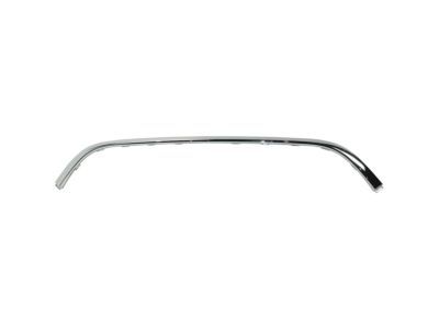 Chrysler 5SD33SZ0AC APPLIQUE Fascia