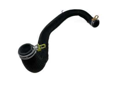 2020 Dodge Challenger Radiator Hose - 4598096AH