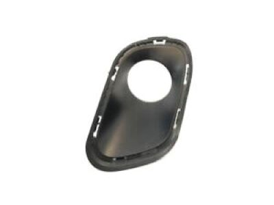 Jeep 68203225AA BEZEL Fog Lamp