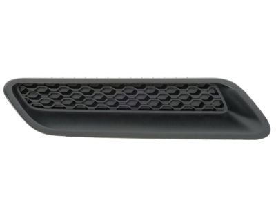Ram 68324990AA BEZEL Hood