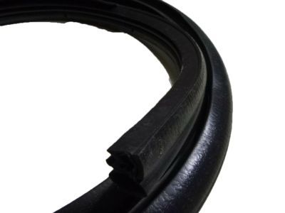 Chrysler UJ30XXXAF WEATHERSTRIP Front Door Opening