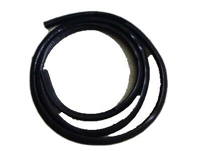 Chrysler UJ30XXXAF WEATHERSTRIP Front Door Opening