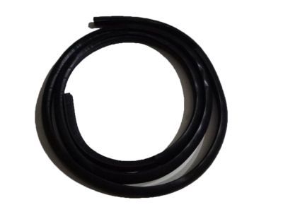 Dodge Stratus Door Seal - UJ30XXXAF