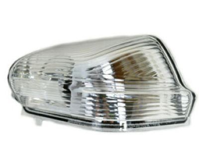Mopar 68010096AA Repeater Lamp, Front Passenger Side