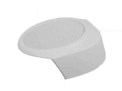Dodge 1AH43DKAAA GRILLE Speaker