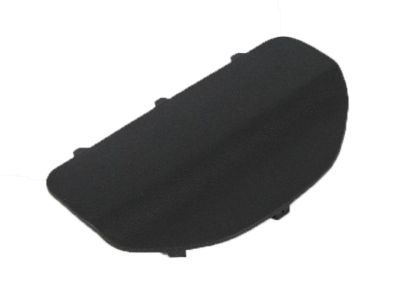Dodge 1VV31DX9AA COVER Access Door Trim