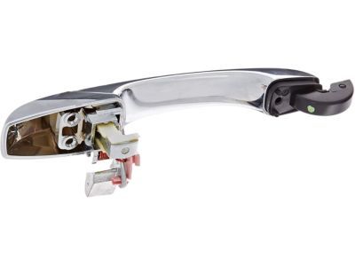 Dodge 5065800AG HANDLE Exterior Door