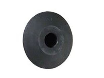 Ram 6505686AA PLUG