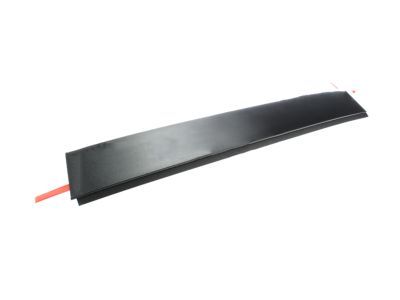Ram 5109878AA APPLIQUE Sliding Door Outside B-Pillar