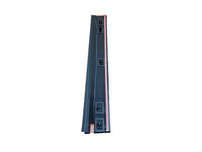 Ram 5109878AA APPLIQUE Sliding Door Outside B-Pillar