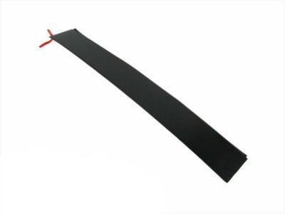 Ram 5109878AA APPLIQUE Sliding Door Outside B-Pillar