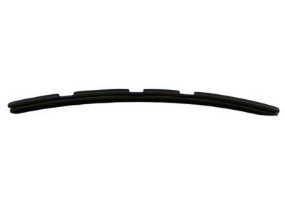 Dodge 4865579AA WEATHERSTRIP Door Belt Inner