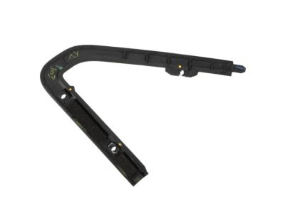 Ram 68290778AD MOLDING Day Light Opening Front Door
