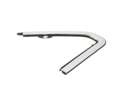 Ram 68290778AD MOLDING Day Light Opening Front Door